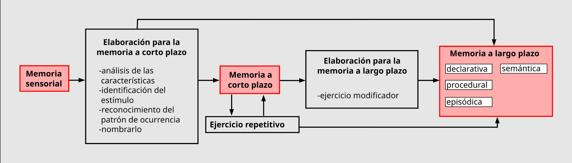 Diagrama de flujo sobre el proceso de la memoria humana: la información pasa de la memoria sensorial a la memoria a corto plazo mediante un proceso de análisis (identificación del estímulo, reconocimiento de patrones y nombrado). Desde la memoria a corto plazo, a través de la repetición y la elaboración, se consolida en la memoria a largo plazo, que incluye tipos como declarativa, semántica, procedimental y episódica.